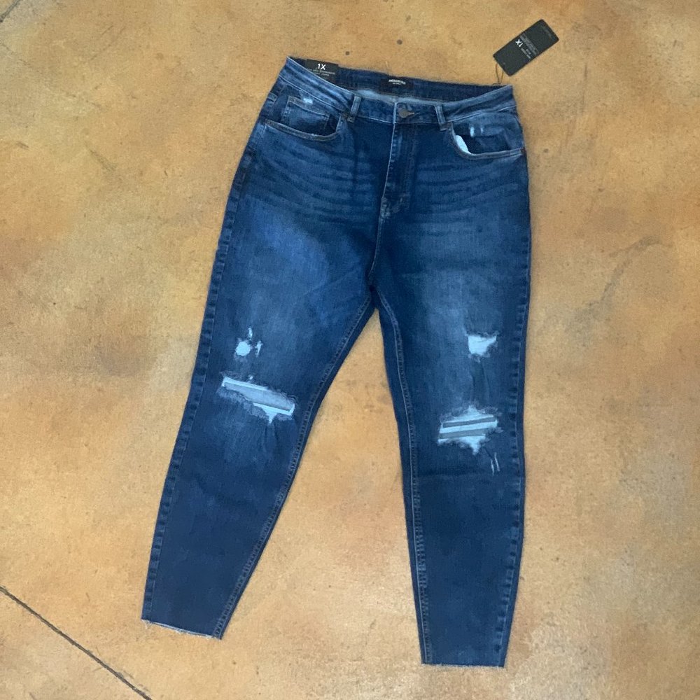 Women's Plus Distressed High Rise Skinny Jeans